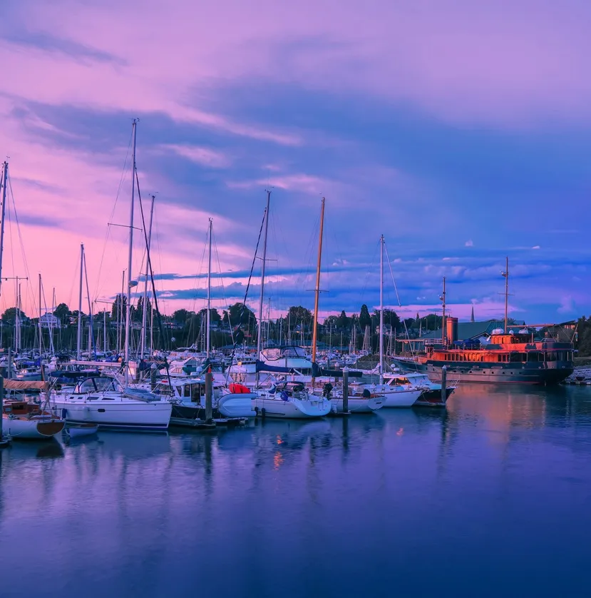 Sailboats moored at a Bellingham marina under a pink twilight sky